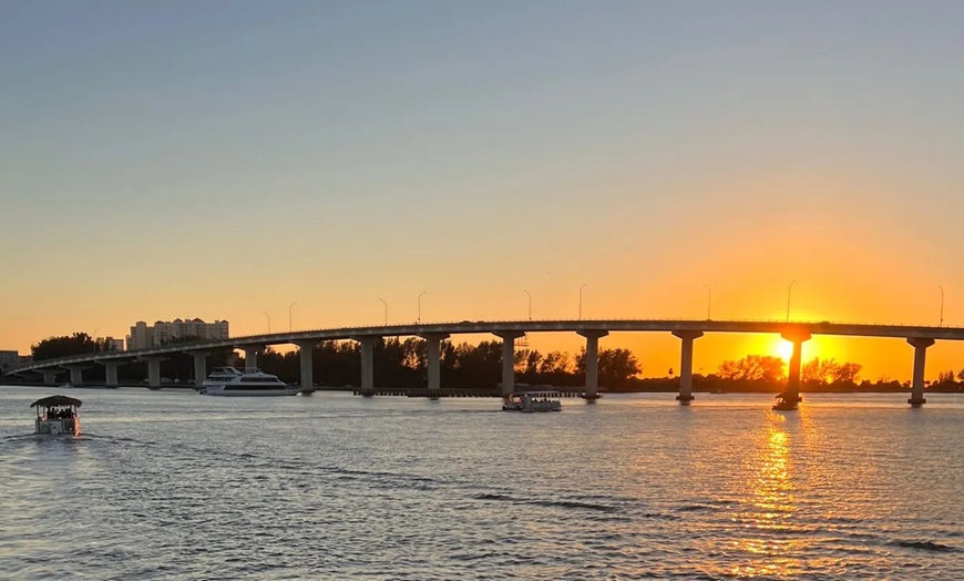 Image 4: 1-Hour and 45-Minute Dolphin Exploration Boat Tour in Clearwater, FL