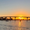 Image 4: 1-Hour and 45-Minute Dolphin Exploration Boat Tour in Clearwater, FL