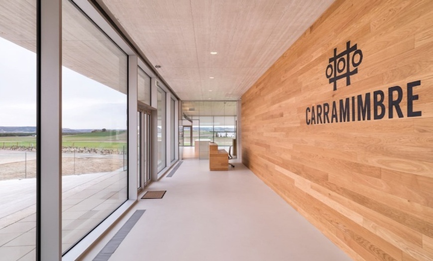 Image 8: Cata de 3 vinos, visita guiada y aperitivo en Bodegas Carramimbre