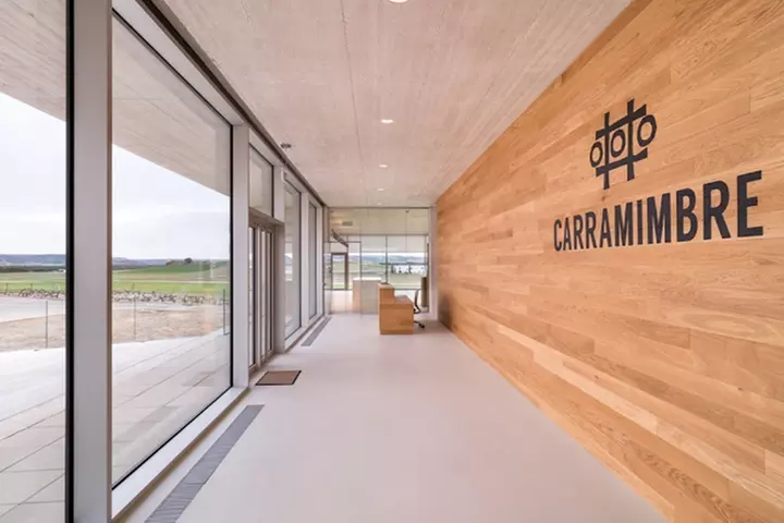 Cata de 3 vinos, visita guiada y aperitivo en Bodegas Carramimbre