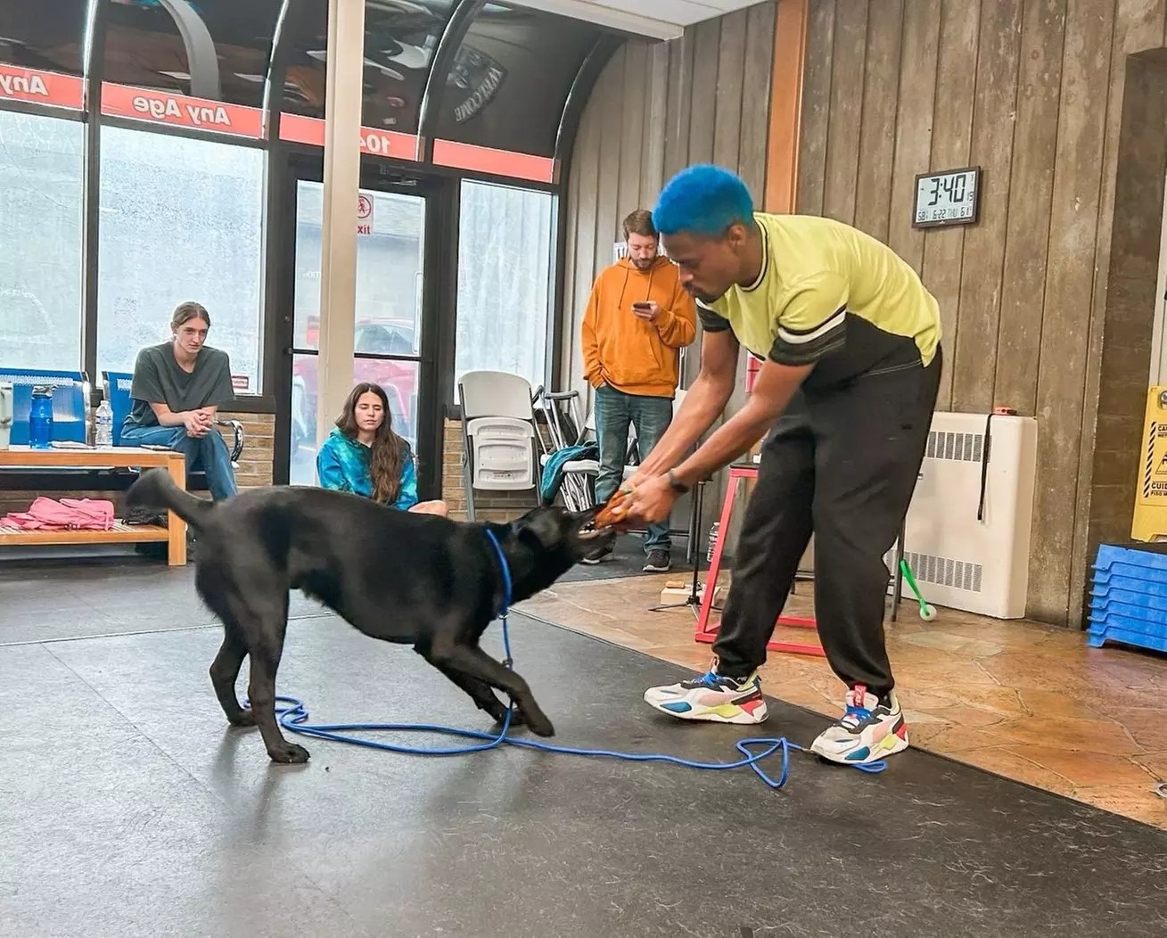 Up to 33% Off on Obedience School at Dog Magnet Training