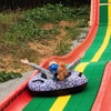 Image 3: Maize Quest: Giant Corn Maze & Fun Park Adventure