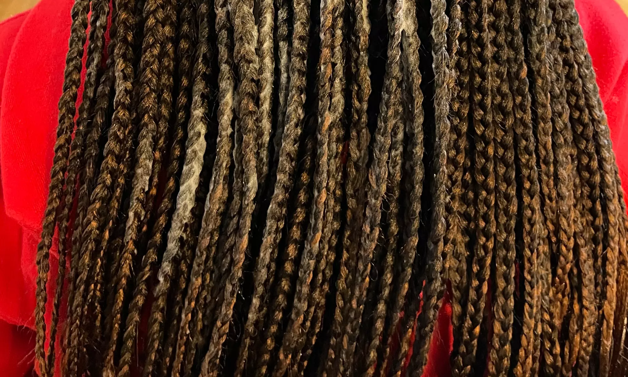 Transform Your Look with Various Knotless Braid Sessions
