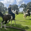 Image 6: Beginner Cowboy/Cowgirl Experience for Groups