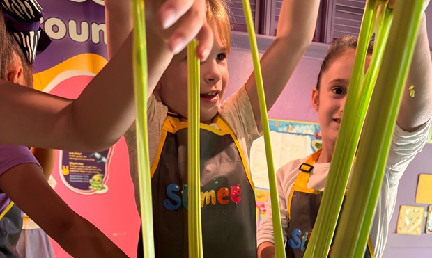 What to expect media