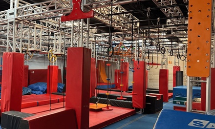 Ninja Warrior/Obstacle Course Birthday Party - Amped Party Package Up to 25 Guests - Amped Obstacles Grand Prairie, Prairie TX 
