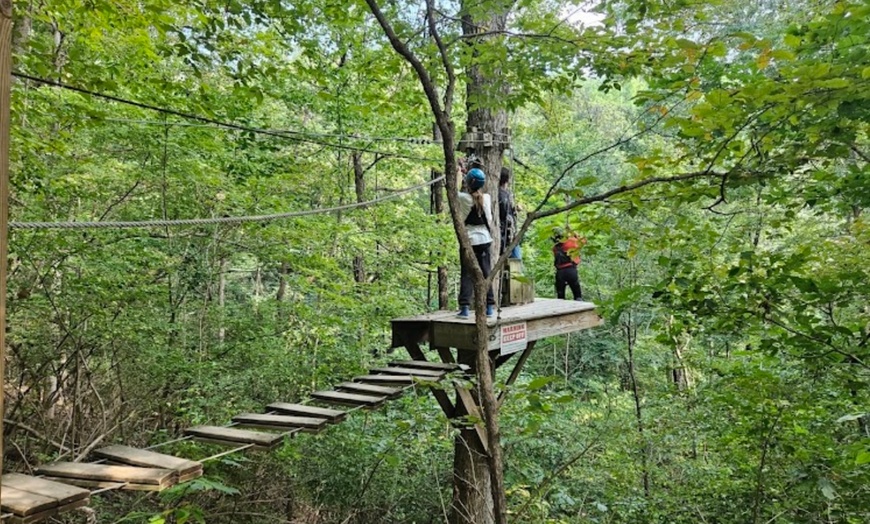 Image 3: Canopy Tour & Ziplining Adventure: Nashville