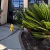 Image 4: Up to 33% Off on Window Washing at Fullerton's Window Cleaning