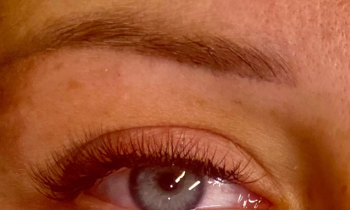 Up to 38% Off on Eyebrow - Threading - Tinting at Golden Beauty - Primary Image