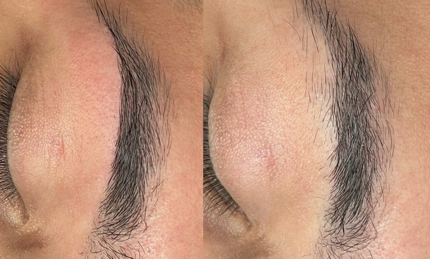 Image 2: Smooth Skin with One or Three Brazilian, or Eyebrow Waxing Sessions