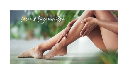Six  Laser Hair-Removal Sessions on  extra Small Area - Laser & Organic Spa