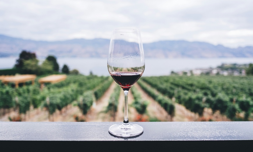 Image 4: Self-Paced Wine Foundations Course - Decatur