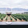Image 4: Self-Paced Wine Foundations Course - Decatur