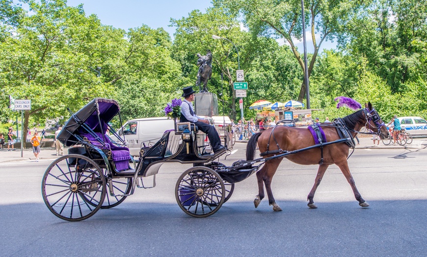 Image 2: Discover NYC Fancy Rides' enchanting 45-minute Central Park horse carriage tour, offering up to 24% off for a nostalgic journey.