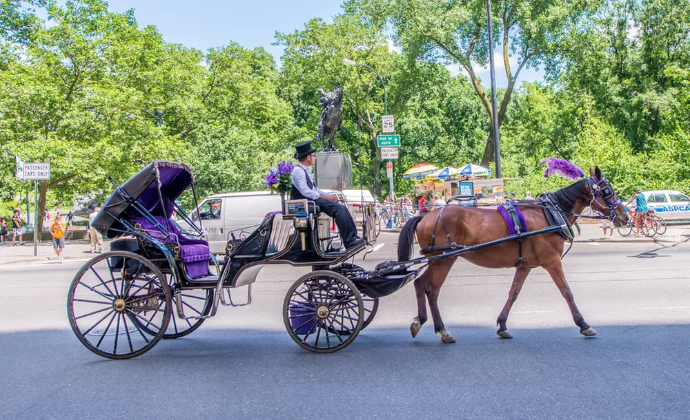 Discover NYC Fancy Rides' enchanting 45-minute Central Park horse carriage tour, offering up to 24% off for a nostalgic journey.