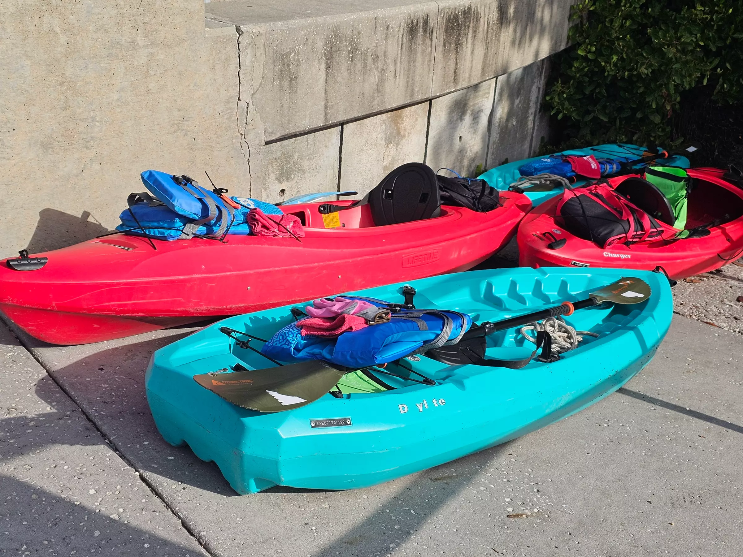 2-Hour Eco Kayak Tours for Solo Explorers, Couples & Groups