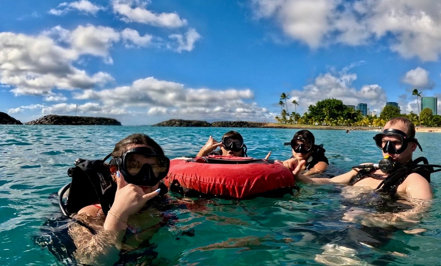 Image 5: Explore Honolulu’s Underwater Wonders: Try Scuba Diving's Guided Scuba Tours with Gear & Videos- Up to 66% Off