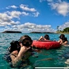 Image 5: Explore Honolulu’s Underwater Wonders: Try Scuba Diving's Guided Scuba Tours with Gear & Videos- Up to 66% Off