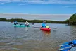 Explore Lush Florida Mangroves: Guided Kayak Eco Tour with Wildlife Learning in Tampa Bay - Second Medium