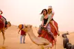 Experience Dubai Frame and Desert Safari Tour at Dubai Executive Tours (Up to 40% Off) - Image 5