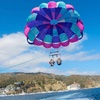 Image 5: Panoramic Catalina Parasailing For Solo Adventurers and Groups