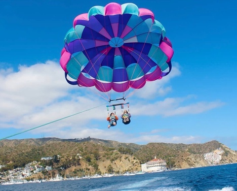 What to expect media