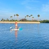 Image 3: Standup Paddle Board Rental in Tampa's Westshore Marina District