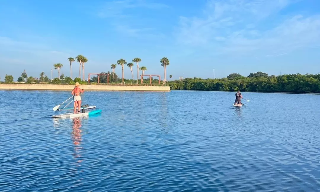 Dive into One Hour Paddleboard Rental for Up to Four People