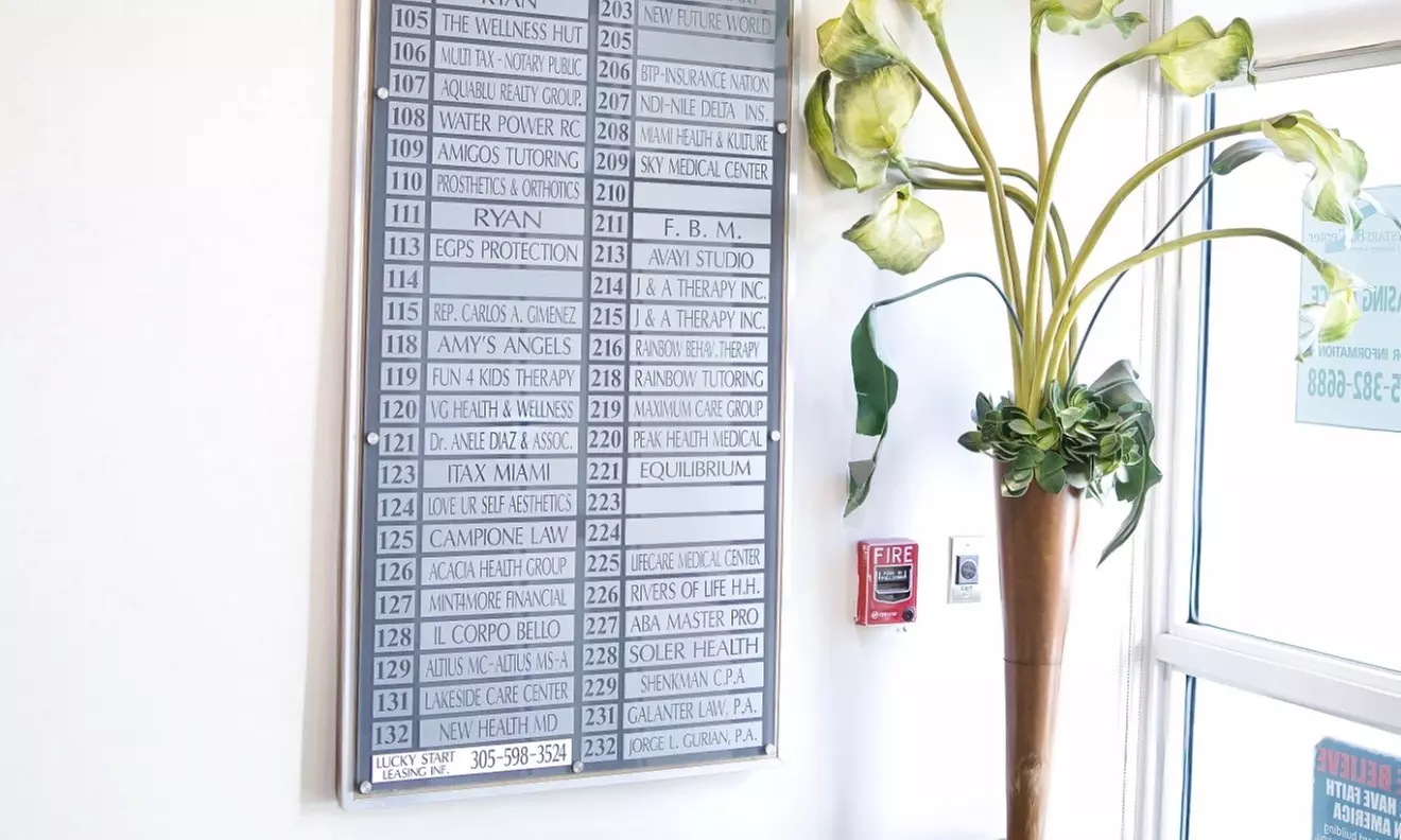 Lip Filler Restylane (1/2 or 1 Syringe) or Hyaluronic Acid Treatment