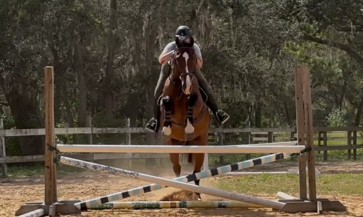 Try Horseback Riding with a 30-Minute Intro Lesson