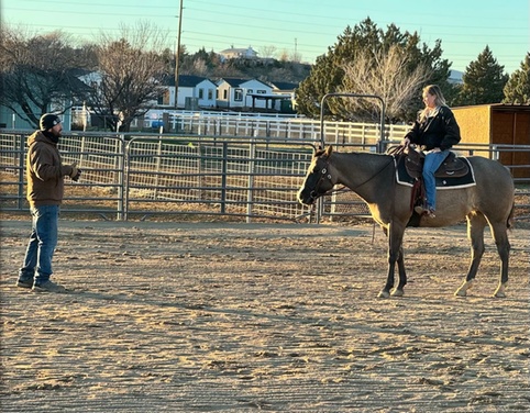 What to expect media