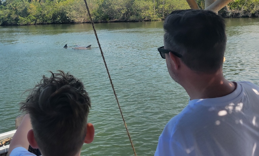 Image 5: Relaxing Dolphin Sightseeing & Sunset Cruises on the Space Coast