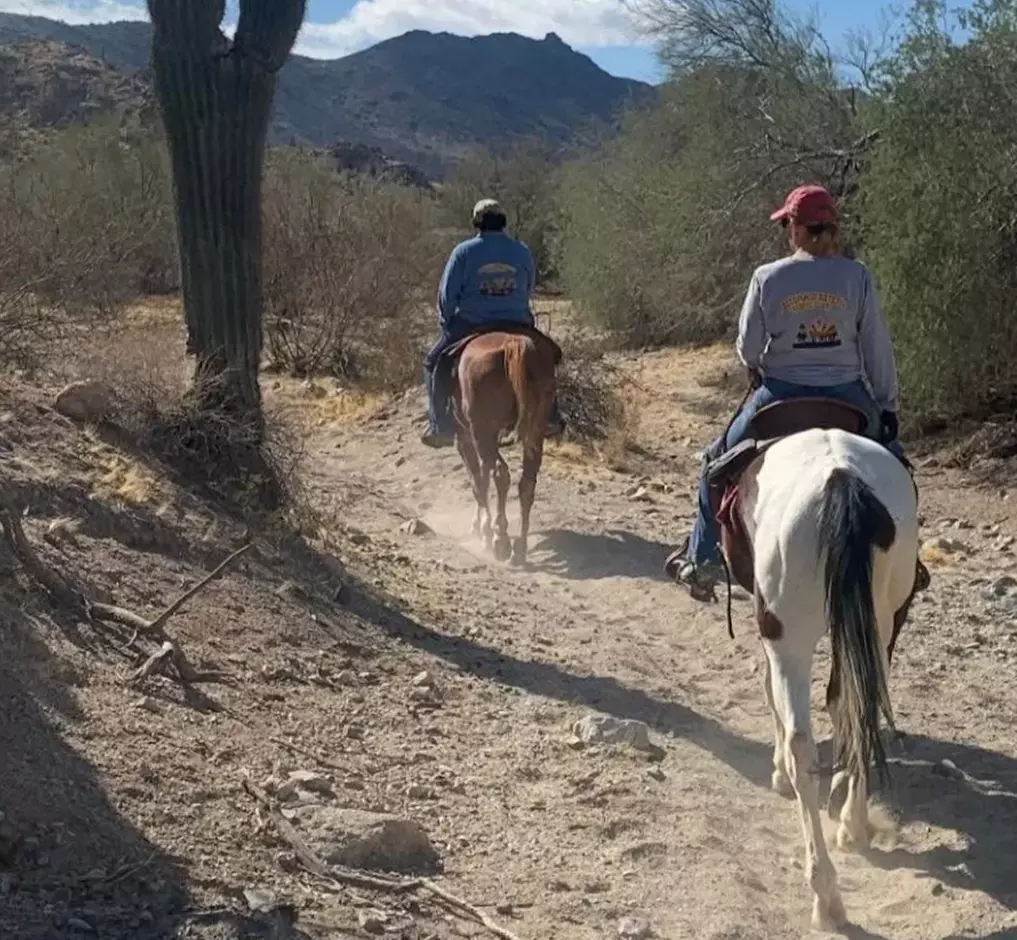 Horseback Riding Lessons & Guided Trail Rides – Phoenix