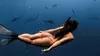 Thrilling Open-Water Shark Dive Tour for One, Two, or Six People at VIP Tours and Activities (Up to 25% Off)