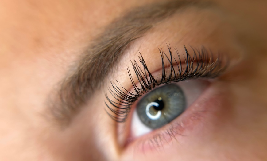 Image 2: Extensions volume russe, rehaussement ou browlift
