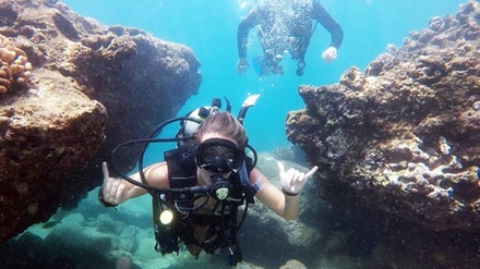No Certification Required Guided Scuba-Diving Tour for Beginners for One with Free Videos - Try Scuba Diving