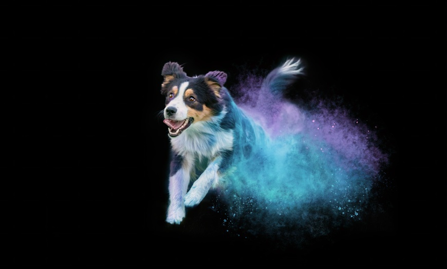 Image 2: 30 Min. Holi-Fotoshooting inkl. 3 - 5 Bilder