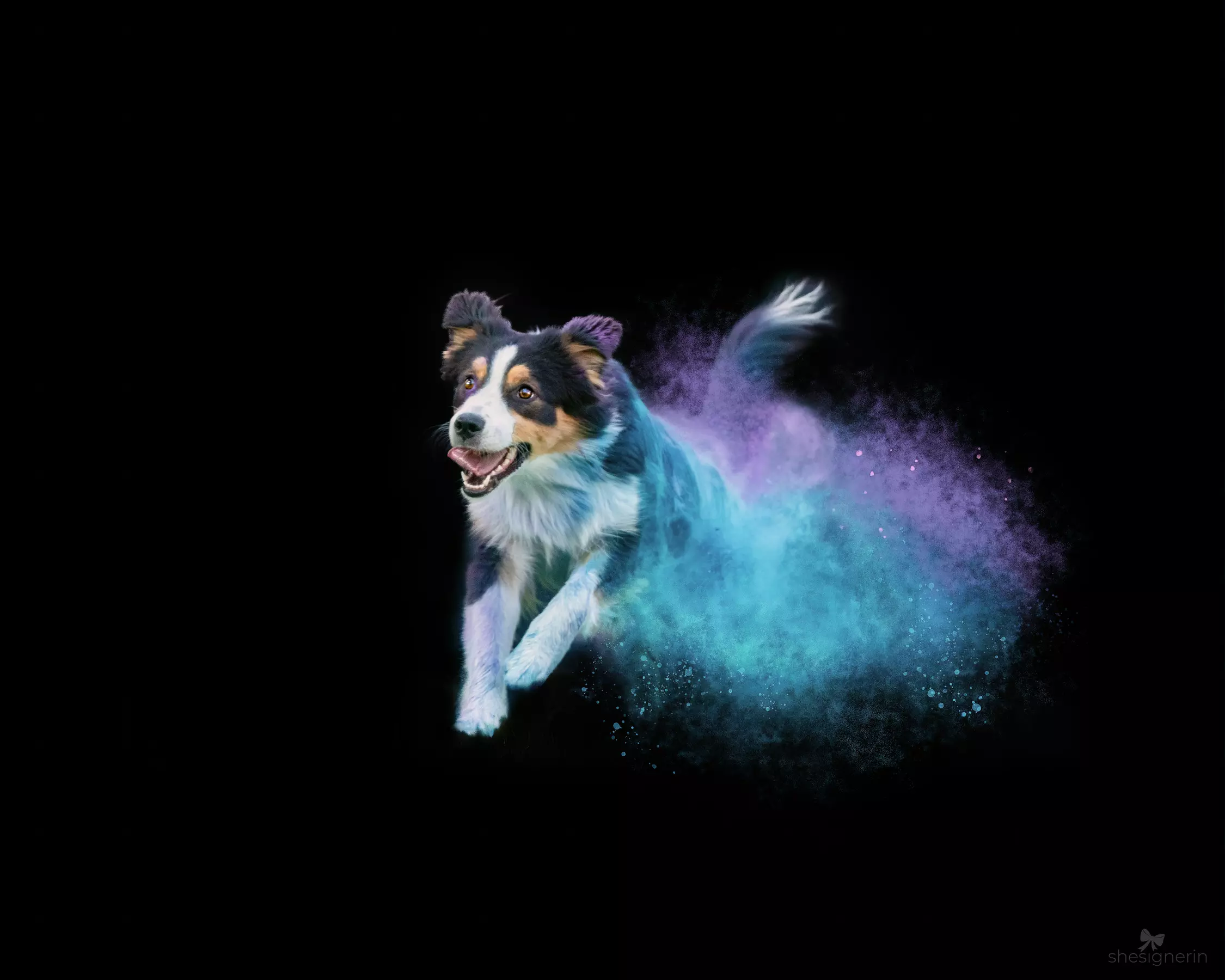 30 Min. Holi-Fotoshooting inkl. 3 - 5 Bilder