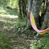 Image 7: Farm Day Passes & Memberships: Nature, Animals & Wellness Activities