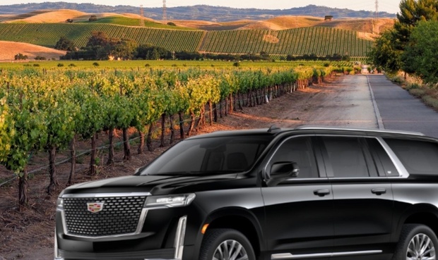 What to expect media