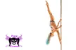 Pole Dancing and Ariel Fitness Classes for a Dreamy Workout Mid-Air - Second Medium