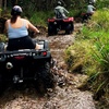 Image 1: Enjoy a Guided ATV Tour with Seasonal Fruit Picking and More!