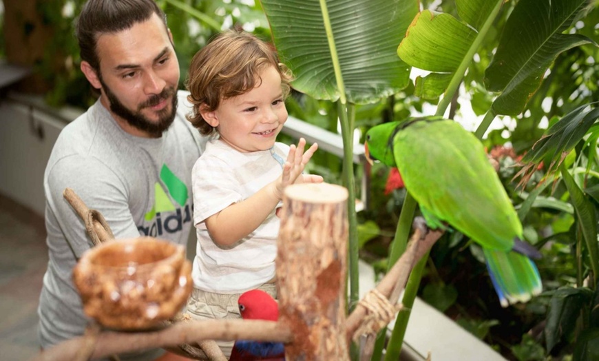 Image 10: Double the Fun: Dubai Aquarium w/ Penguin Cove + Choice of Attraction