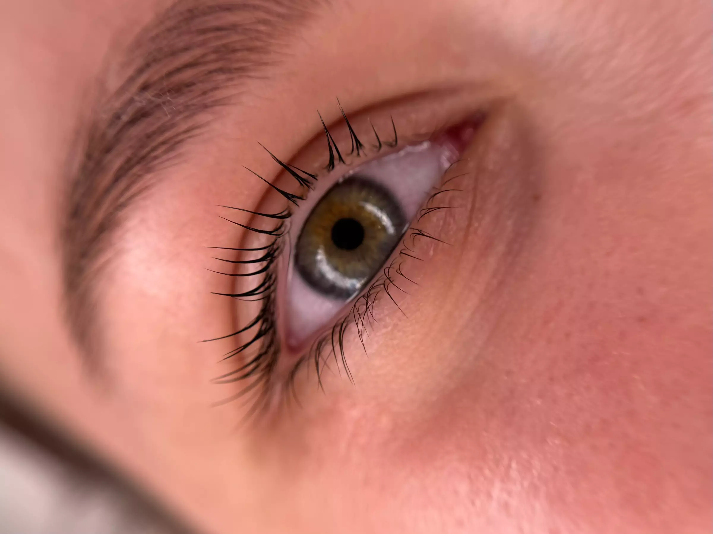 One Eyelash Lift Treatment with Optional Tint at Lash & Brow Glow