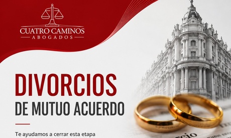 Divorcio de mutuo acuerdo sin propiedades ni hijos