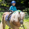 Image 3: Private Horseback Riding Lessons at SNS Equine