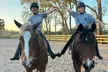 Up To 48% Off On Saddle Seat Riding with Two, Four, or Eight Horse Back Riding Lessons - Second Medium