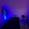 Image 4: 60 or 90-Minute Swedish Massage with Aromatherapy