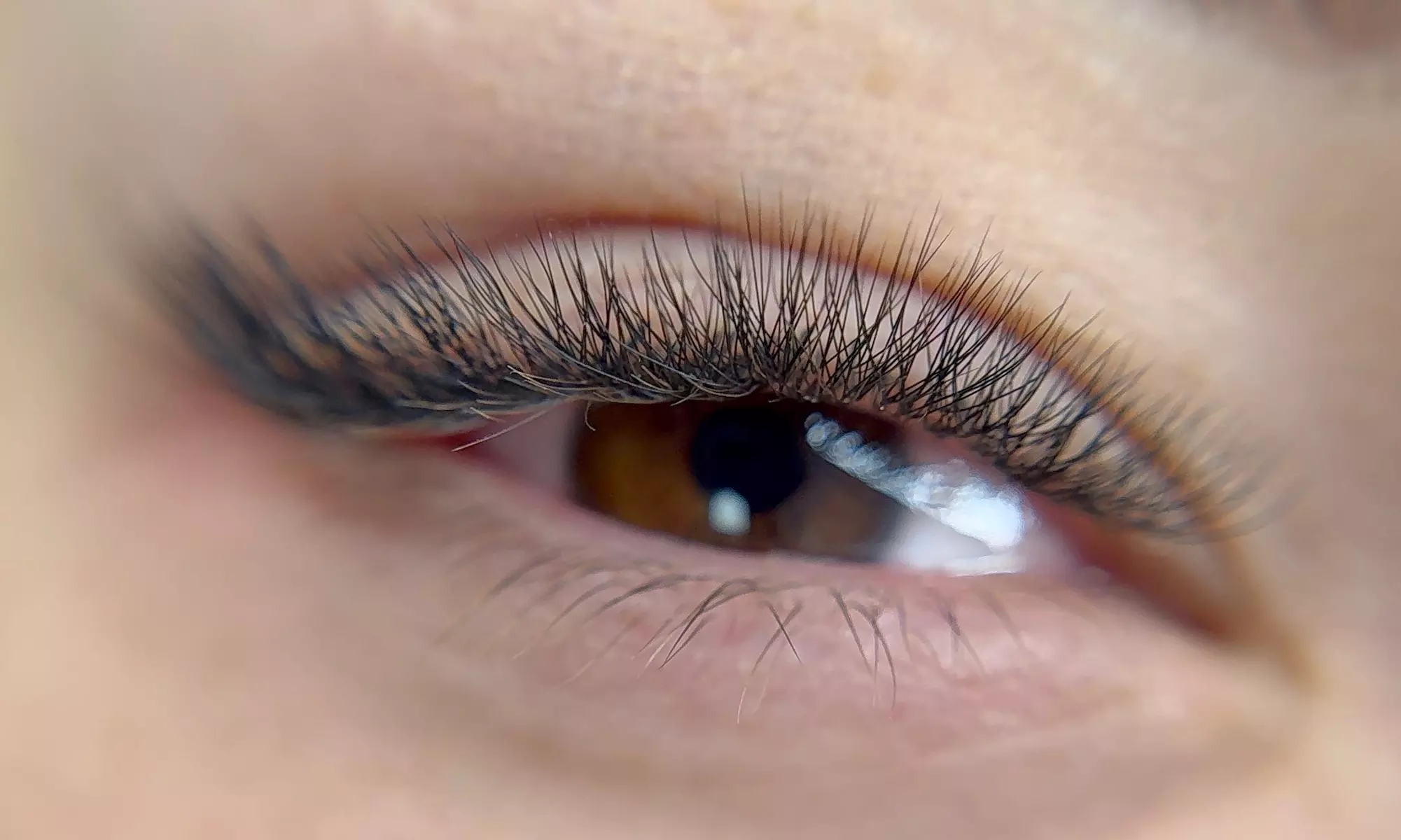 Get a Full Set of Lash Extensions with Optional Eyebrow Shaping