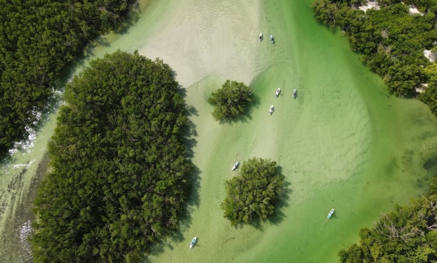 Image 2: Kayak & Paddleboard Rentals – Siesta Key Adventures